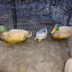 3 Duck Decoys