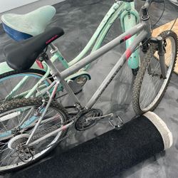 Road Master Bike 