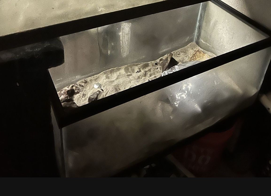 40 Gallon Breeder