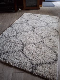 Medium Shag Area Rug 