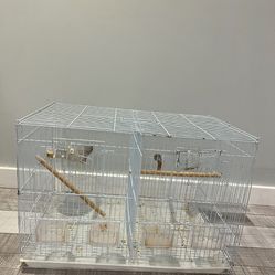 Bird Cage