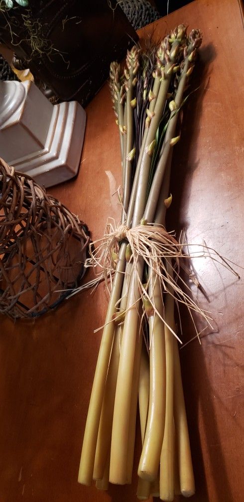 A Dozen Rubber Stalks With Black Grasses