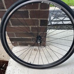 Bicycle Tires