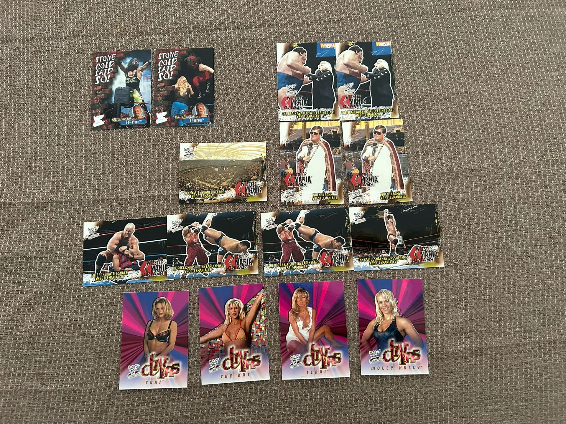 Vintage 2001 Fleer WWF Collectible Cards