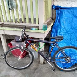 Trek Limited Edition VW Aluminum