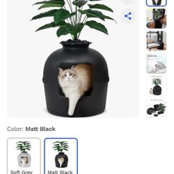 Cat litter Box