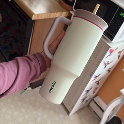 40 Oz Owala Stainless Steel Cup Mug With Handle And Straw