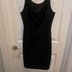 Ladies  Dress  Size10