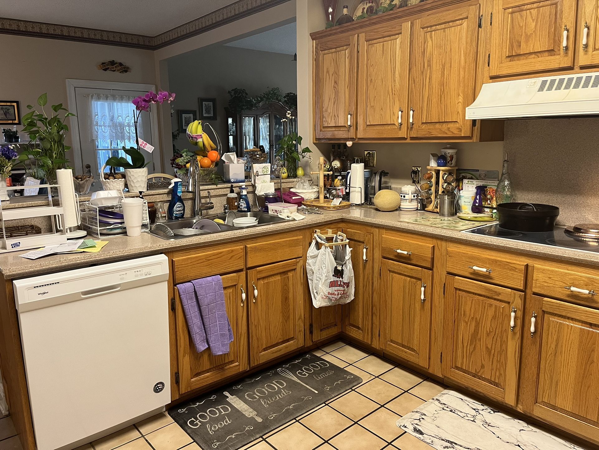 White Dishwasher And Wall Oven 