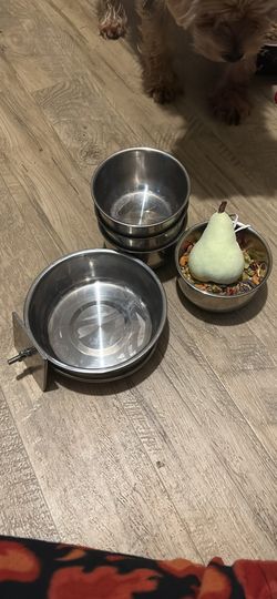 Animal Bowls