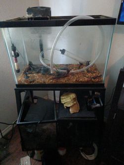 4 FISHTANKS CHEAP MOVING SALE