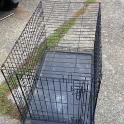 Dog Crate Size 36 Width 22 Height 25 Price 30$ Pick.  E 72.  and Grand View. E.  Tacoma Up.  E. 72.  