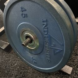 45lb Bumper Plates 