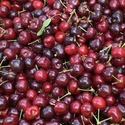 Cherries 