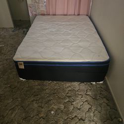  Bed For Sale