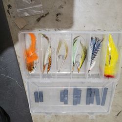 12 large saltwater flys with case
