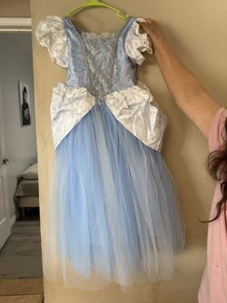 Cinderella Dress