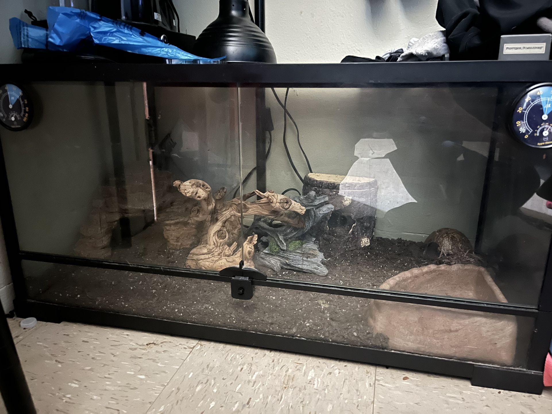 40 Gallon Lizard Tank 