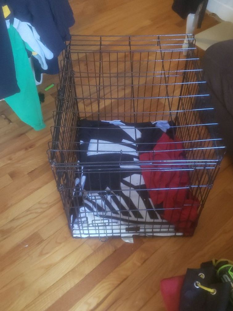 dog kennel