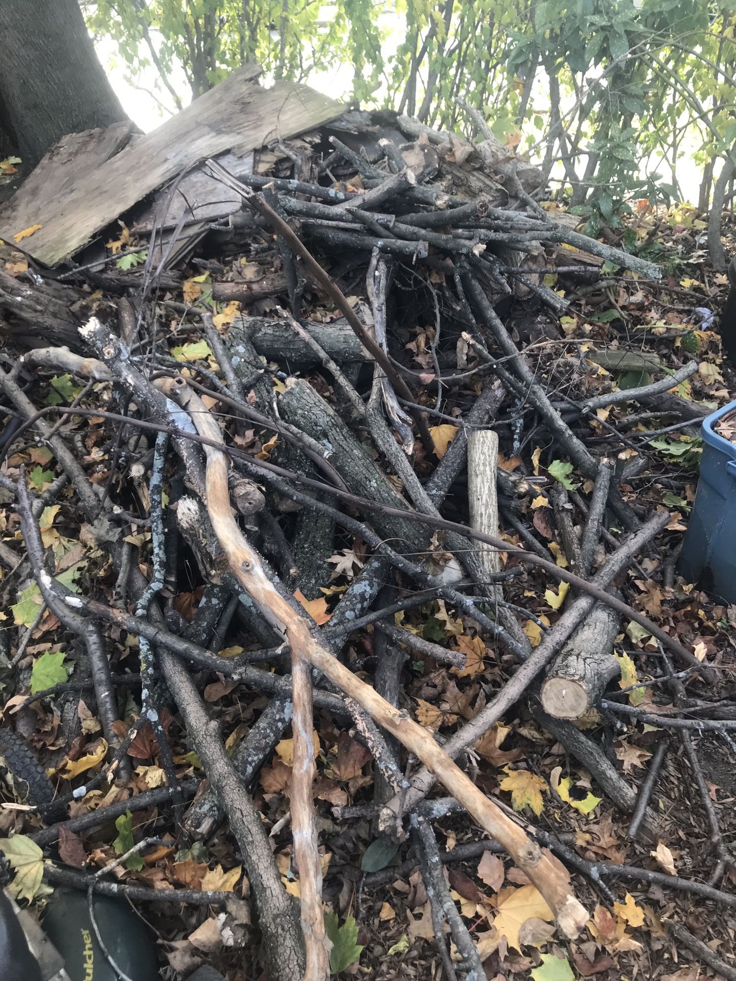 FIRE. WOOD. FREE. TAKE THE PILE. FREE.