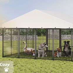 Outdoor Dog Kennel With Roof Cover