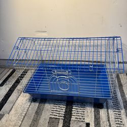 Birds Cage