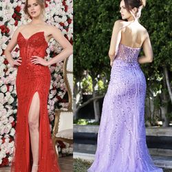 New With Tags Strapless Corset Bodice Sequin Long Formal Dress & Prom Dress $219
