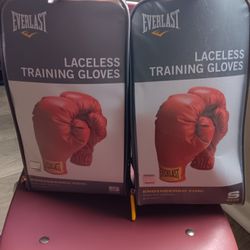 Everlast Jr. Boxing Gloves 