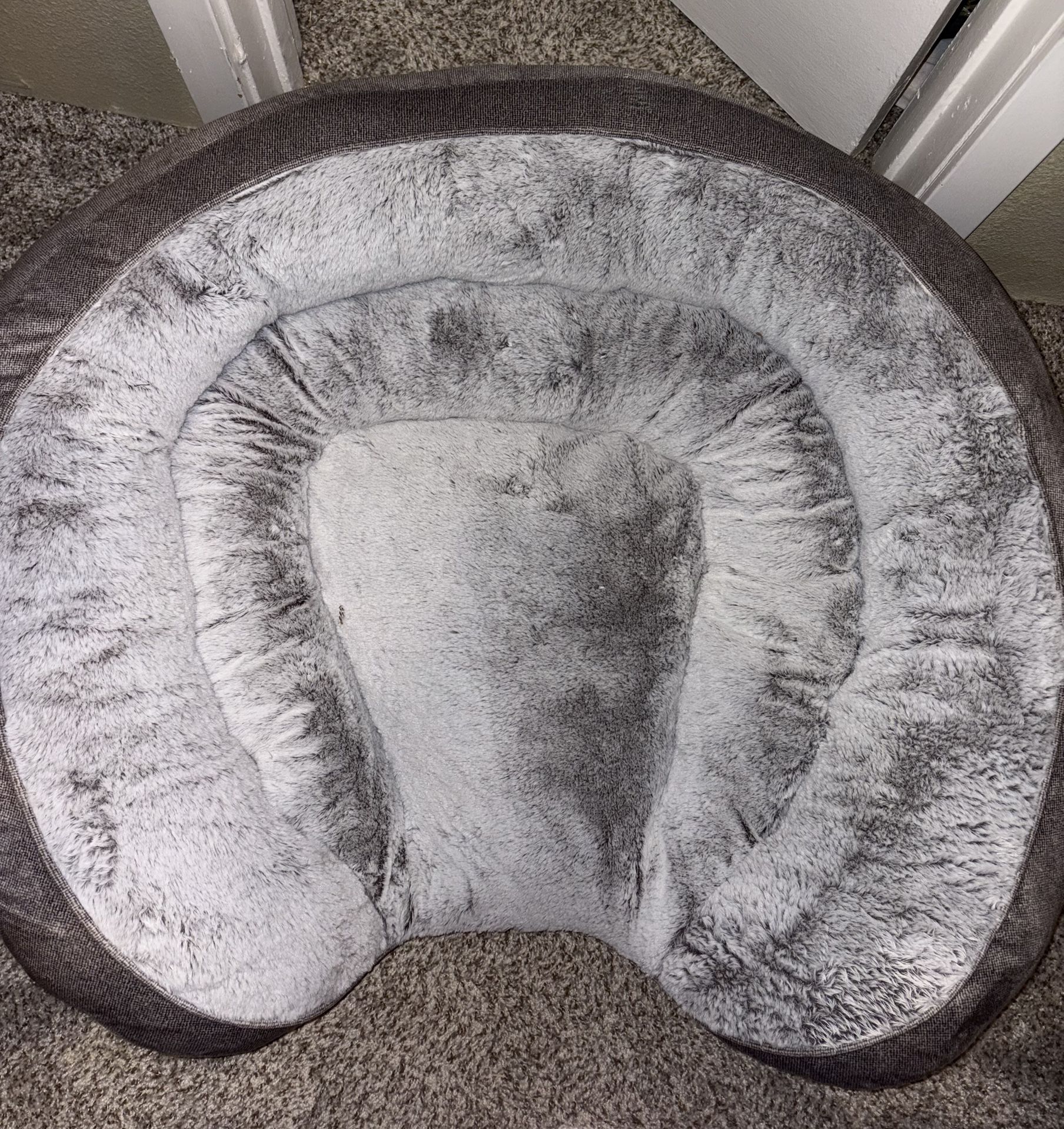 Brand New Large Top Paw Dog Bed 