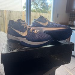 Nike Protro Kobe 6 “Dodgers” Size 11 Men’s 