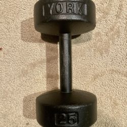 York Dumbbell 25# Round head 