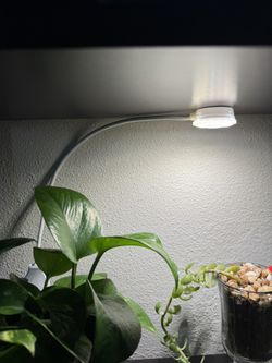 SANSI Grow Light Clip On