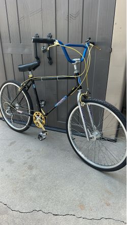 Old school survivor 1981 Schwinn King Sting