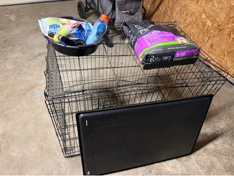 Dog stuff