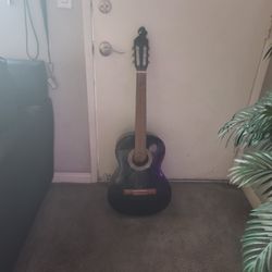 Acoustic Guitar 