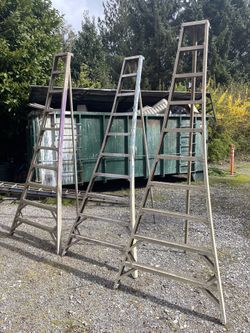 X3 Orchard ladders in good shape