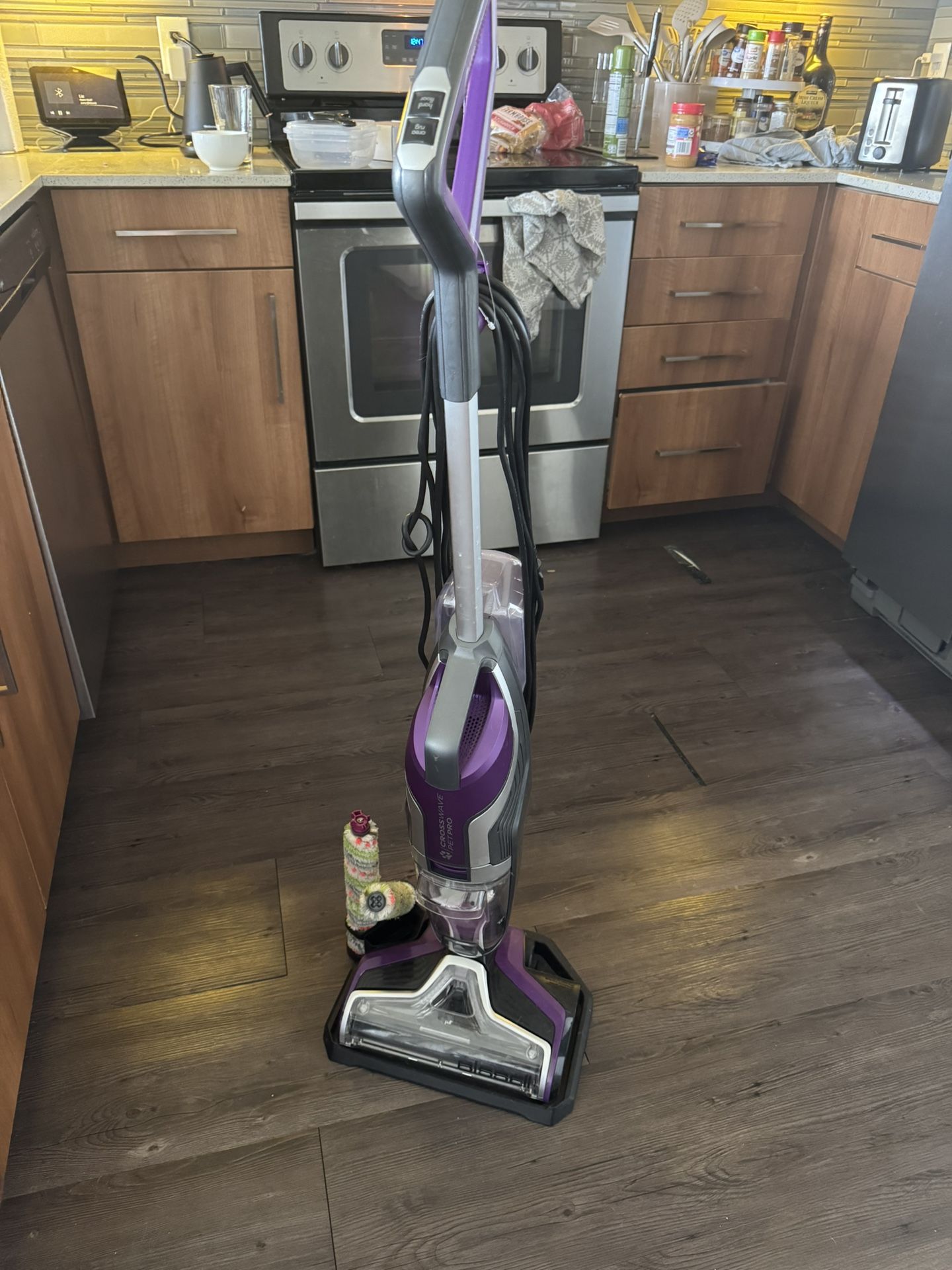 Bissell Pet pro