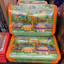 Color Changing Enchanted Rainforest 