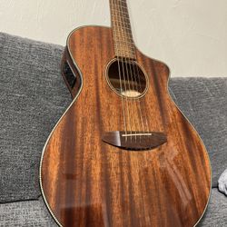 Breedlove Acoustic/Electric Mahogany Guitar