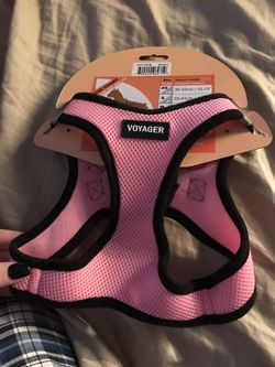 Dog Harness