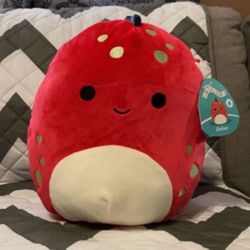 Squishmallow 