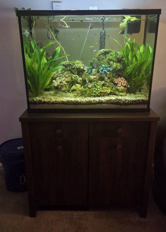 37 Gallon Tank With Stand(Everything Included)