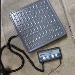 Scale For Small Business