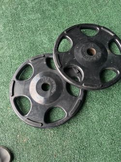 Hampton 45lb weight plate pair