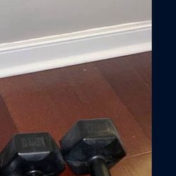 Hand Weights Dumbbells 💪 