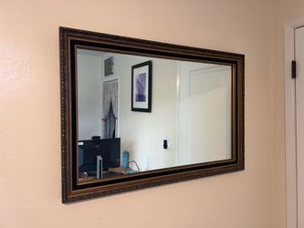 Mirror heavy duty