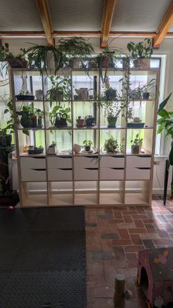 Kallax Ikea Shelf Unit