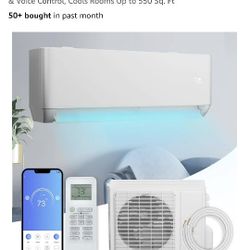 Mini split AC Unit 