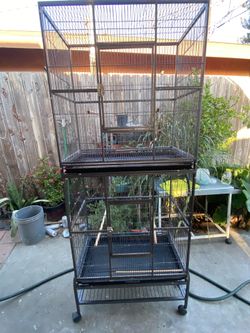 Large flight bird cage