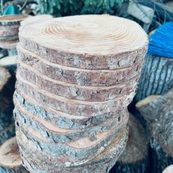 Wood Slices 